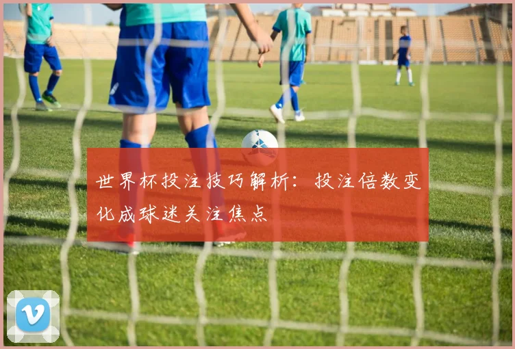 世界杯投注技巧解析:投注倍数变化成球迷关注焦点