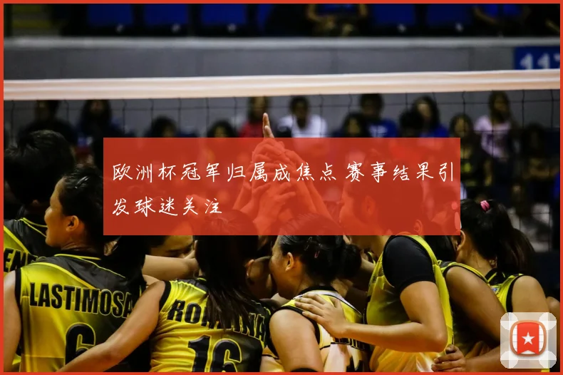 欧洲杯冠军归属成焦点 赛事结果引发球迷关注